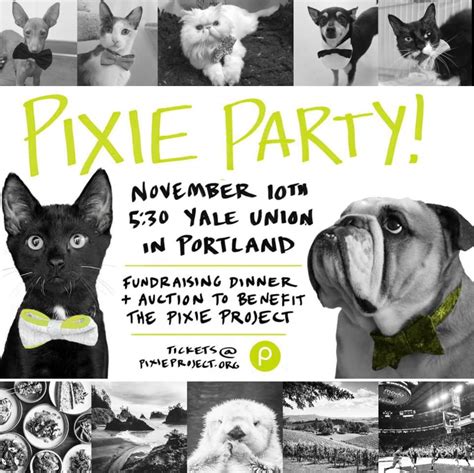 pixie project|pixie project portland oregon.